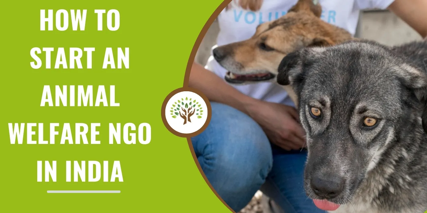 How to Start an Animal Welfare NGO in India