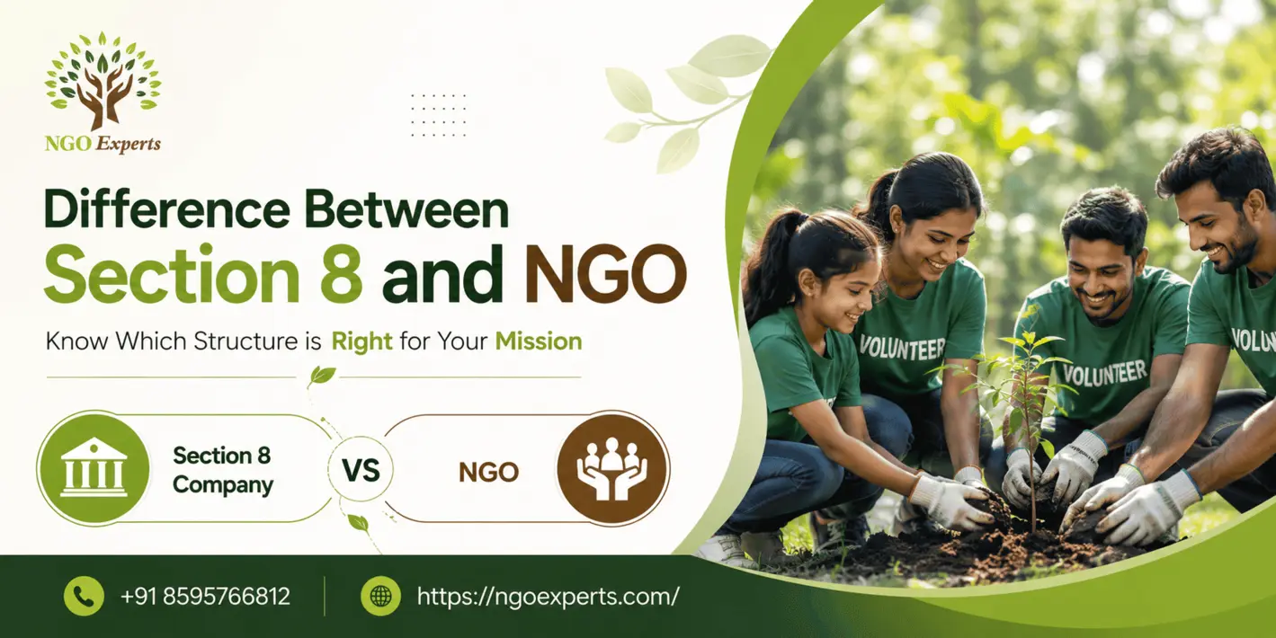 Difference between Section 8 and NGO