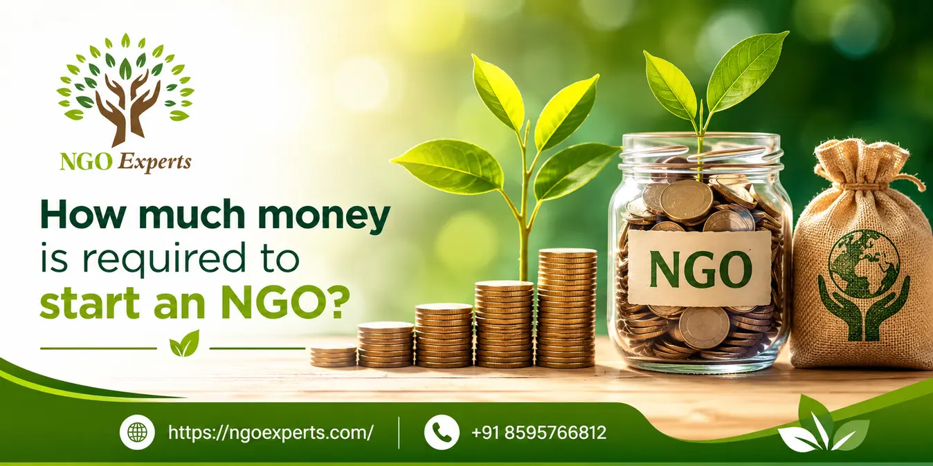 How much money is required to start an NGO?
